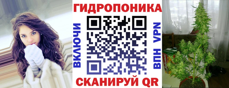 Бошки Шишки Amnesia  Кингисепп 